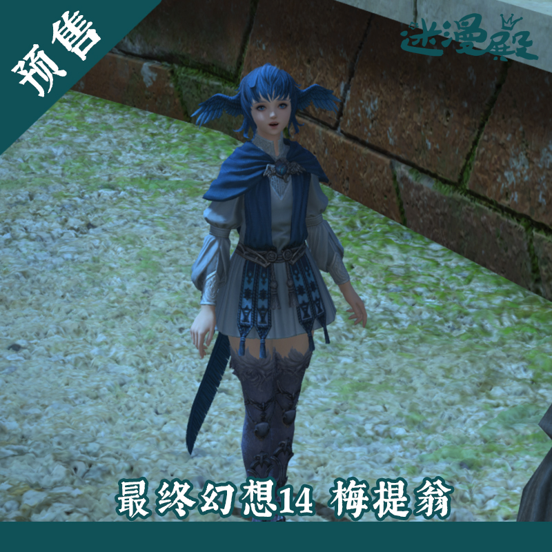 ff14 最终幻想 妖精王 妖灵王 缇坦妮雅 菲奥女装cos服已售0$499折后