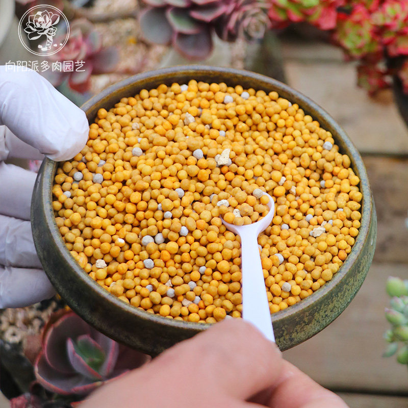 进口奥绿缓释肥a2多肉植物专用控释长效颗粒肥爆崽侧芽壮苗壮根