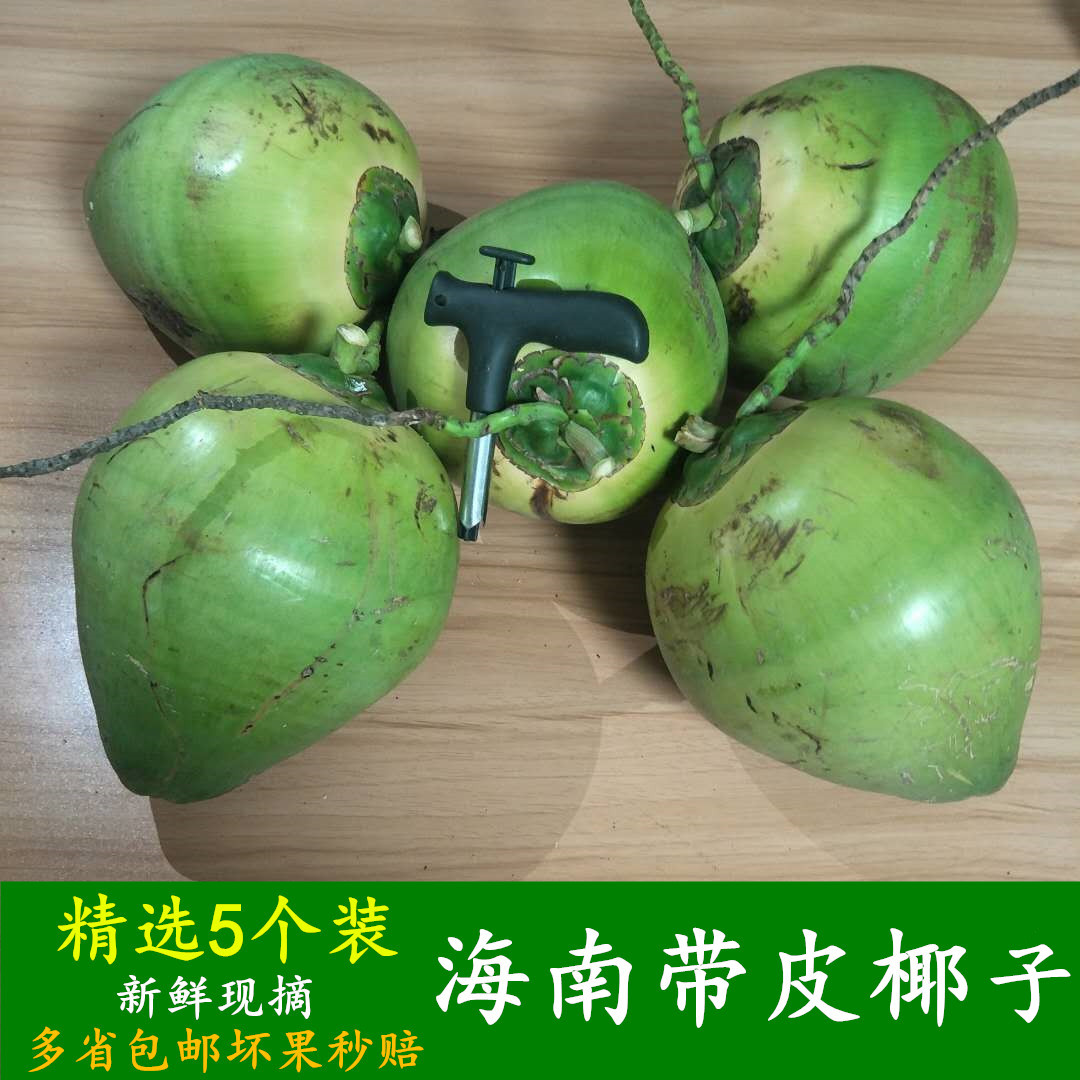 椰子新鲜水果包邮海南椰青带皮5个装青椰子特产清甜个大现摘现发
