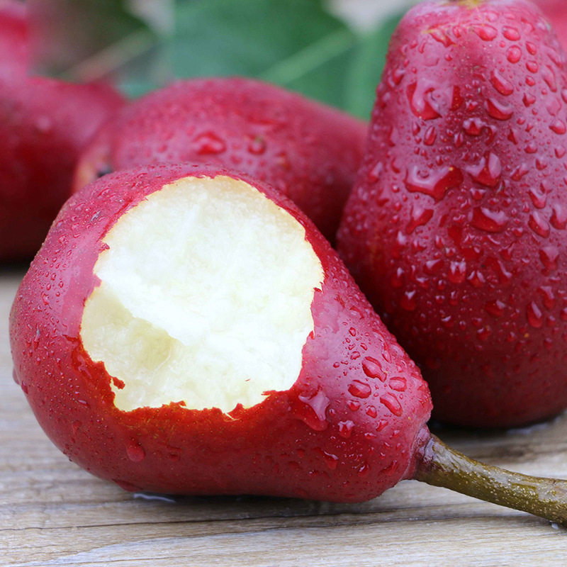 三门峡红啤梨大梨子水果新鲜红皮梨啤酒梨 5斤可以喝的梨柿子新鲜