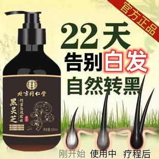 【官方正品】北京同仁堂升级款黑灵芝何首乌白发变黑纯植物洗发水