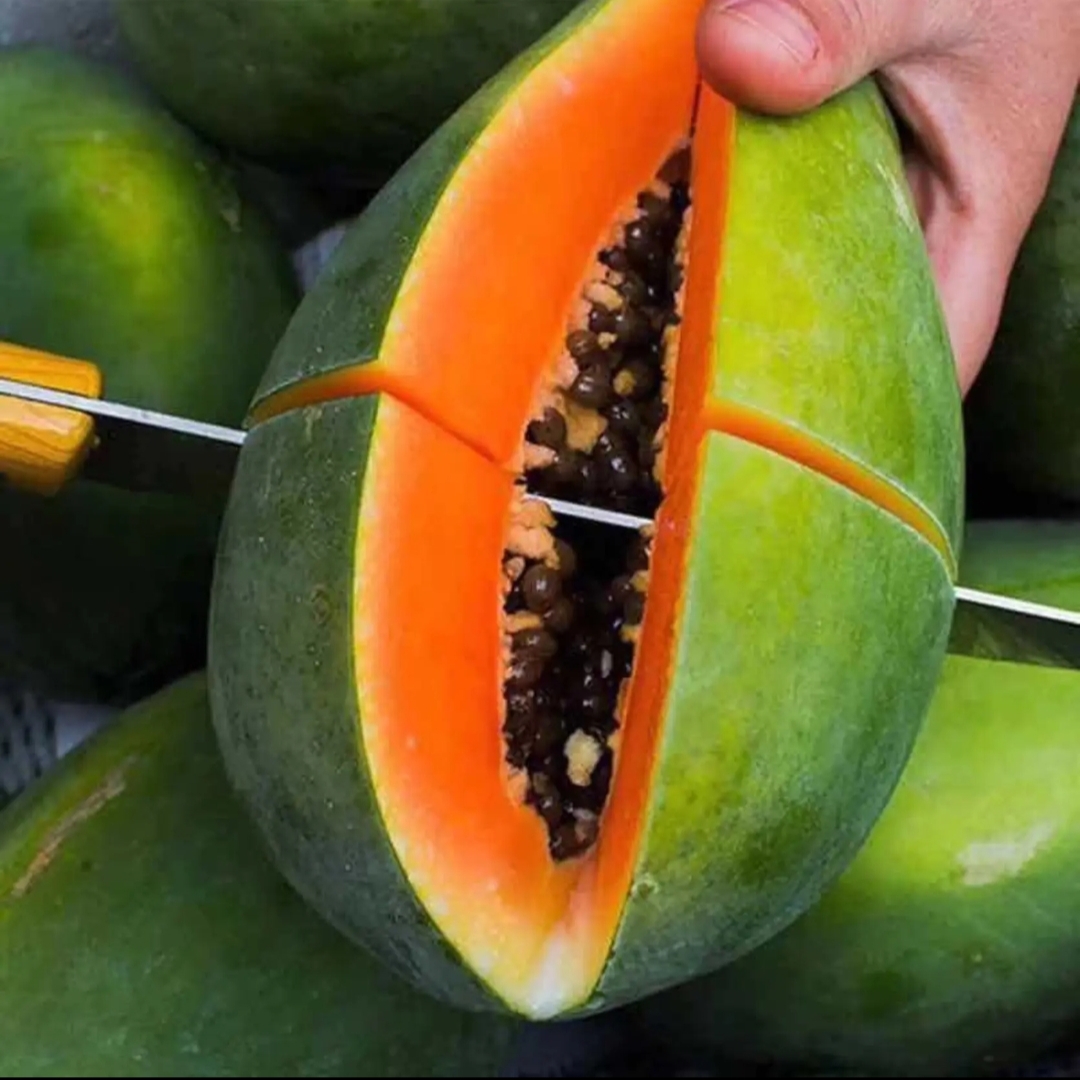 木瓜奶牛奶整箱