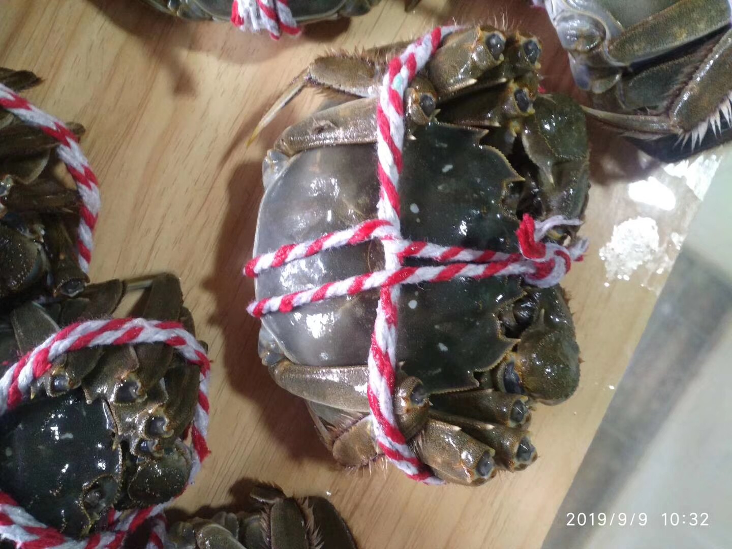 自产自销徐鲜记高邮湖鲜活大闸蟹螃蟹4两全母8只简装  死蟹包赔