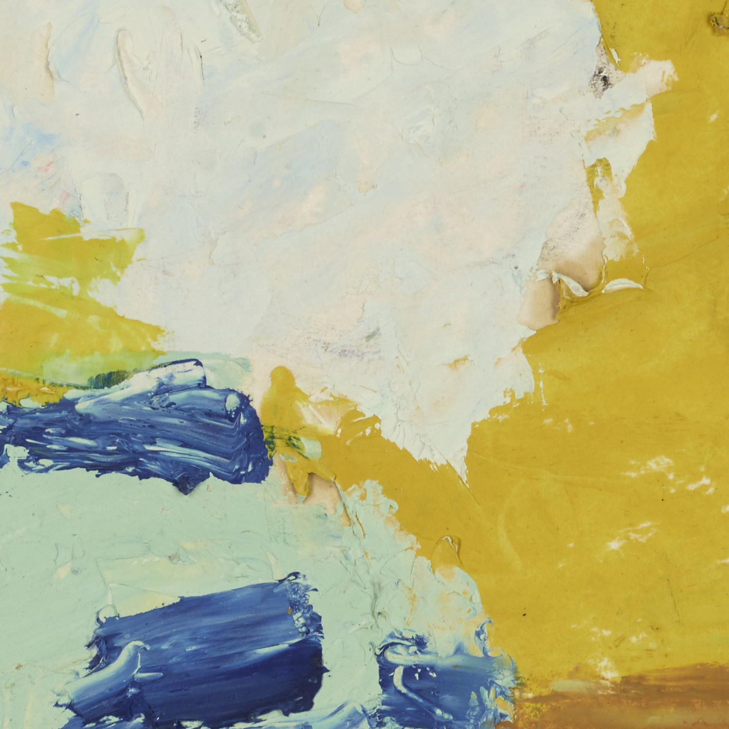 金一德 岁月流金 名家手迹 油画小稿 白玉兰系列