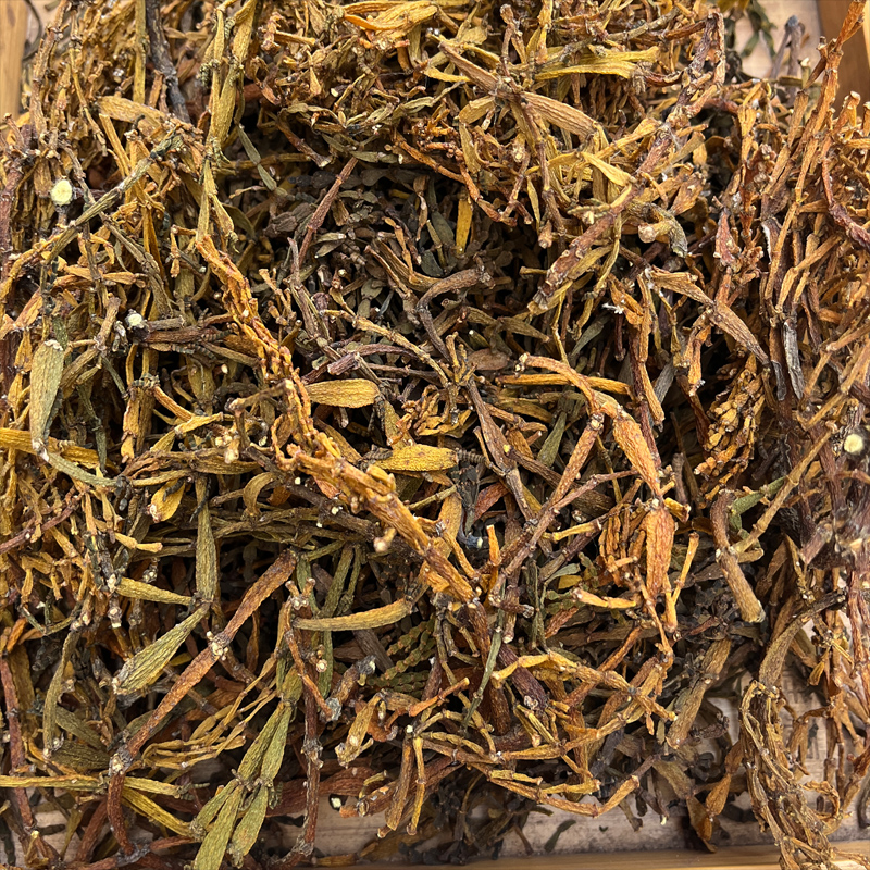 2019年云南景迈茶区螃蟹脚古树特