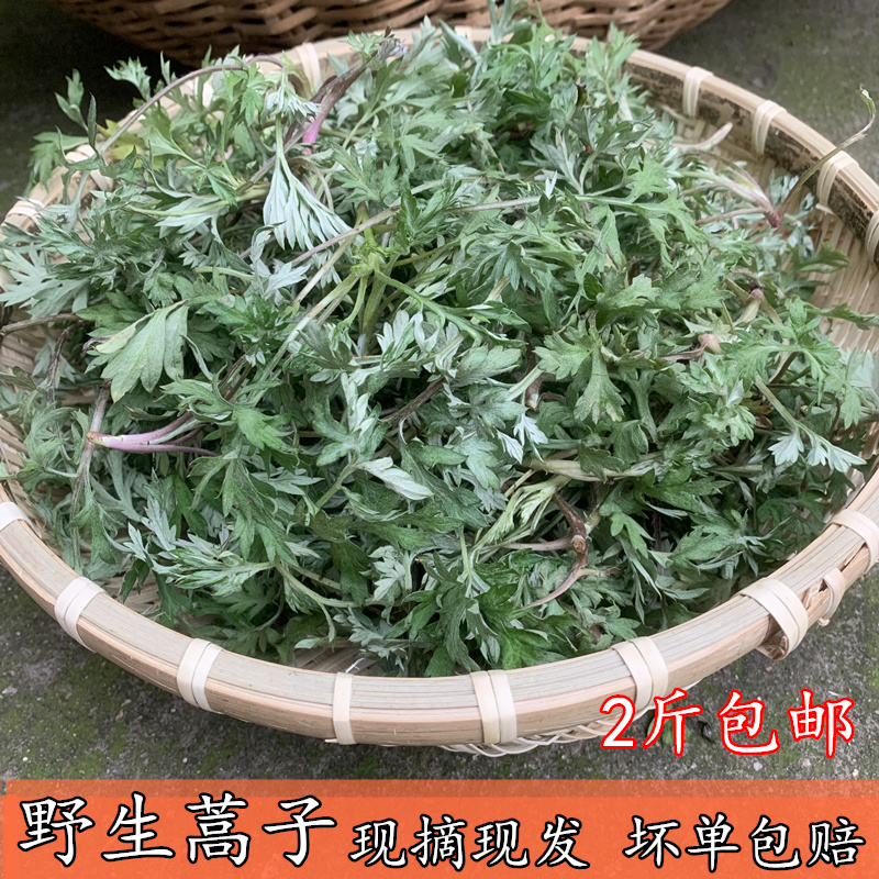 一折湖南特产 糍粑 蒿菜味_新鲜野生蒿子安徽六安蒿菜野生食用艾草