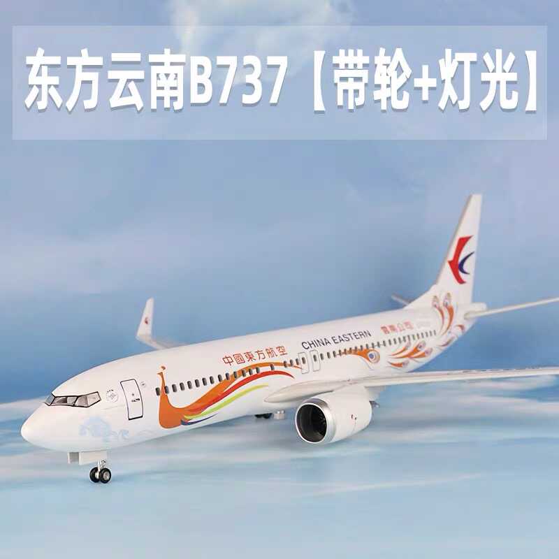 步步高升波音737东方航空云南孔雀