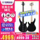 YAMAHA雅马哈进口TRBX504/604/BB434/734电贝司斯BASS四4弦五5弦