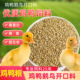 鸭饲料颗粒幼鸭中鸭蛋鸭宠物高蛋白饲料小鸡鸭家禽开口料打窝鸭粮