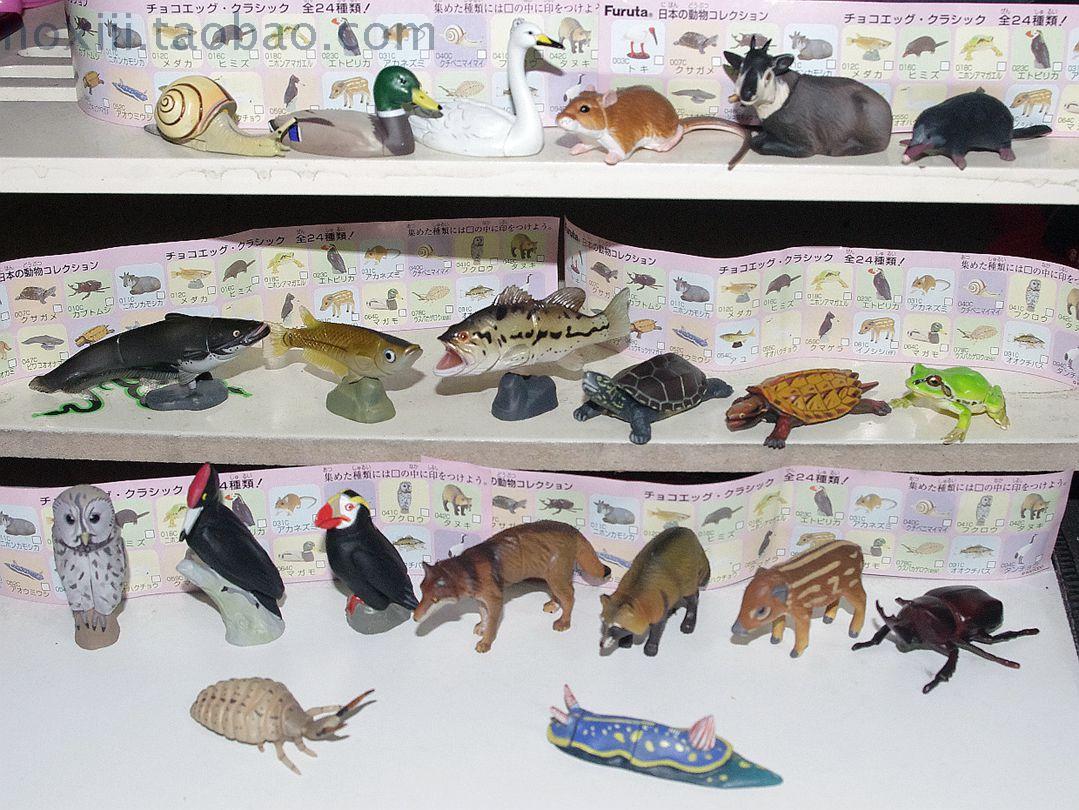 furuta Kaiyodo Japanese animals Whole 24 Seed insect/Fish/Turtle Model Assembling toysin the Toy/Childs/Puzzle/Building block/Model , Simulation/Play house toys , Simulation/Animal dolls category - from Buy2taobao.com to provide professional Taobao agent buy service