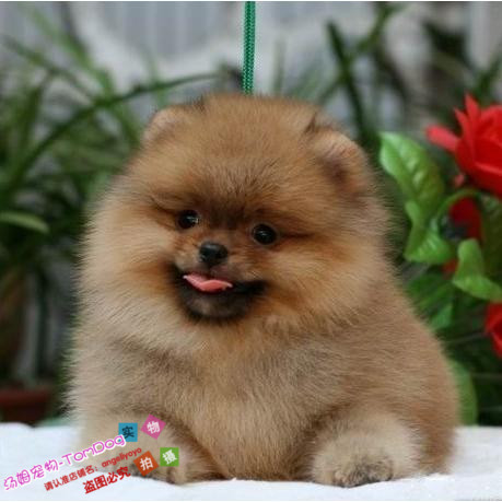 ʲôƷ_ʲôƷ_ȮʲôƷ