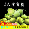 云南青梅果 新鲜 现摘现发散装腌制泡梅子酒5斤包邮酸梅子酸水果|ru 云南青梅果 新鲜 现摘现发散装腌制泡梅子酒5斤包邮酸梅子酸水果|ru