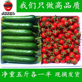 霸果新鲜小番茄西红柿圣女果水果小黄瓜5斤混装农家蔬菜特价包邮