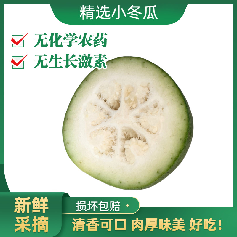 小冬瓜新鲜蔬菜现摘发货应季绿皮冬瓜农家自种多省包邮非大冬瓜在类目 水产肉类/新鲜蔬果/熟食, 新鲜蔬菜/蔬菜制品, 新鲜蔬菜, 其它中 - 来自Buy2taobao.com提供专业的淘宝代购服务