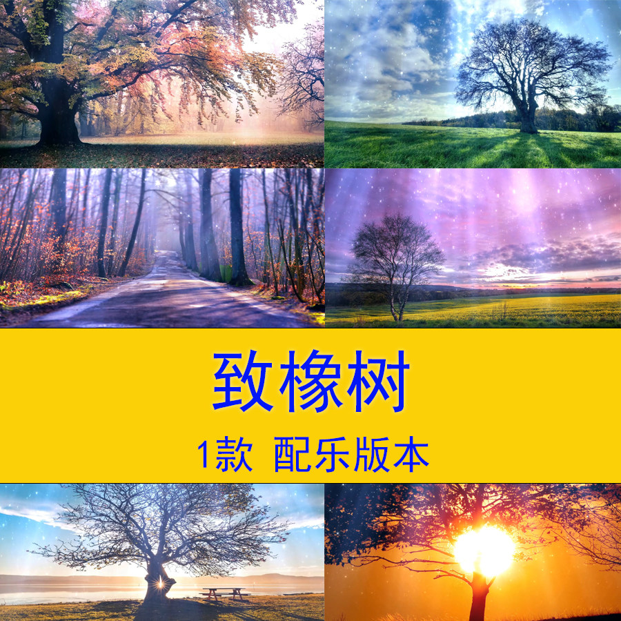 舒婷致橡树爱情诗朗诵视频背景唯美大树视频背景演讲朗诵诗歌背景