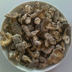 口蘑干货野生价格