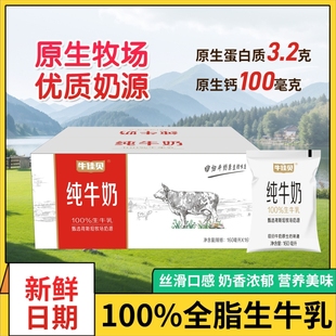 特价促销牛佳贝纯牛奶160ml*16袋100%生牛乳儿童早餐奶整箱全脂