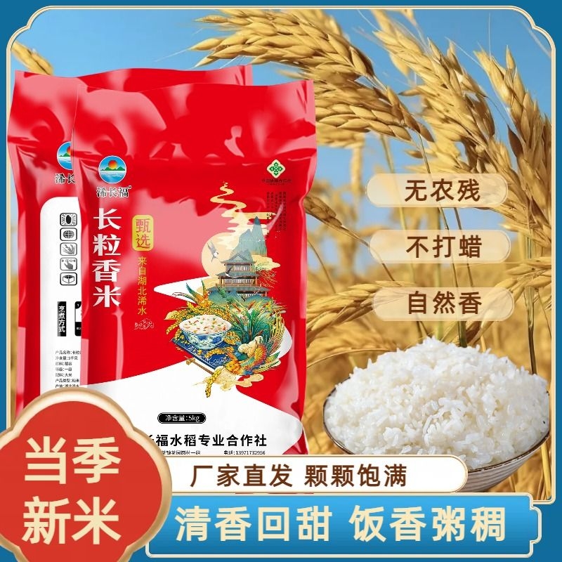 粉丝特价10斤当季新米长粒香米南方原生态长粒米大米包邮一级