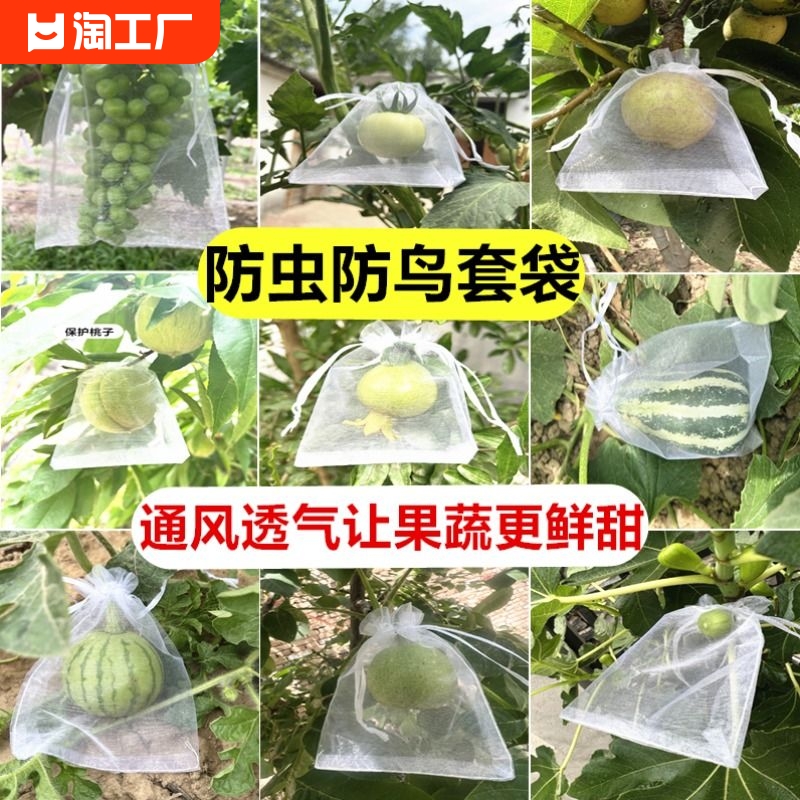 果树防虫网袋保护葡萄袋无花果番石榴芒果防鸟纱网袋套袋桃子套袋