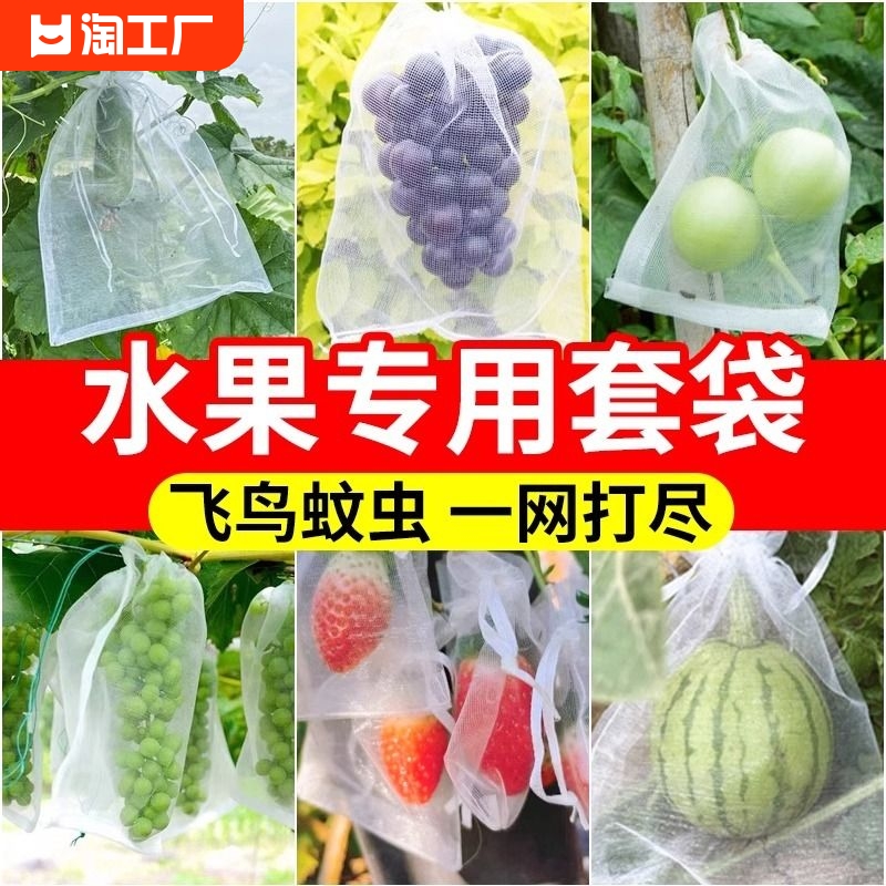 防虫网袋防鸟纱网袋保护葡萄袋无花果番石榴草莓套袋桃子大棚种植