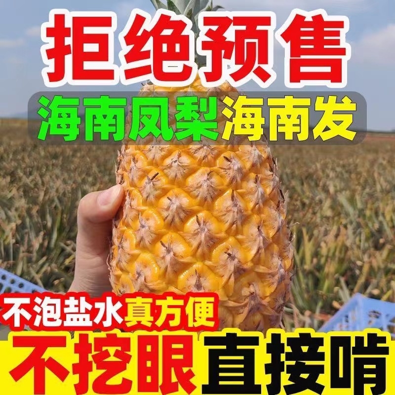 正宗海南金钻凤梨新鲜水果10斤菠萝