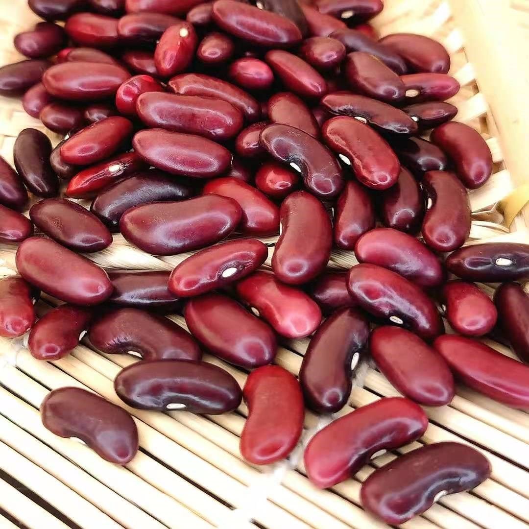 红芸豆干货新货红腰豆新芸豆五谷杂粮煲粥煮汤大红豆农家自y