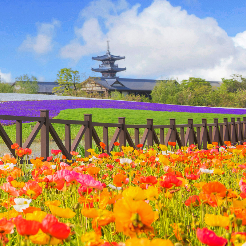 无锡拈花湾禅意村舍/拈花客栈/波罗蜜多酒店 多种房型1晚套餐599元起