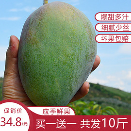 四川攀枝花大芒果凯特芒新鲜青皮大果现摘现发水果带箱10斤包邮