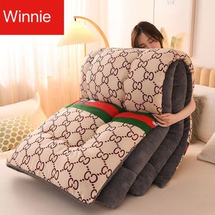 Winter Warm Quilt Duvet Flannel Blanket Cozy Plush Comforter