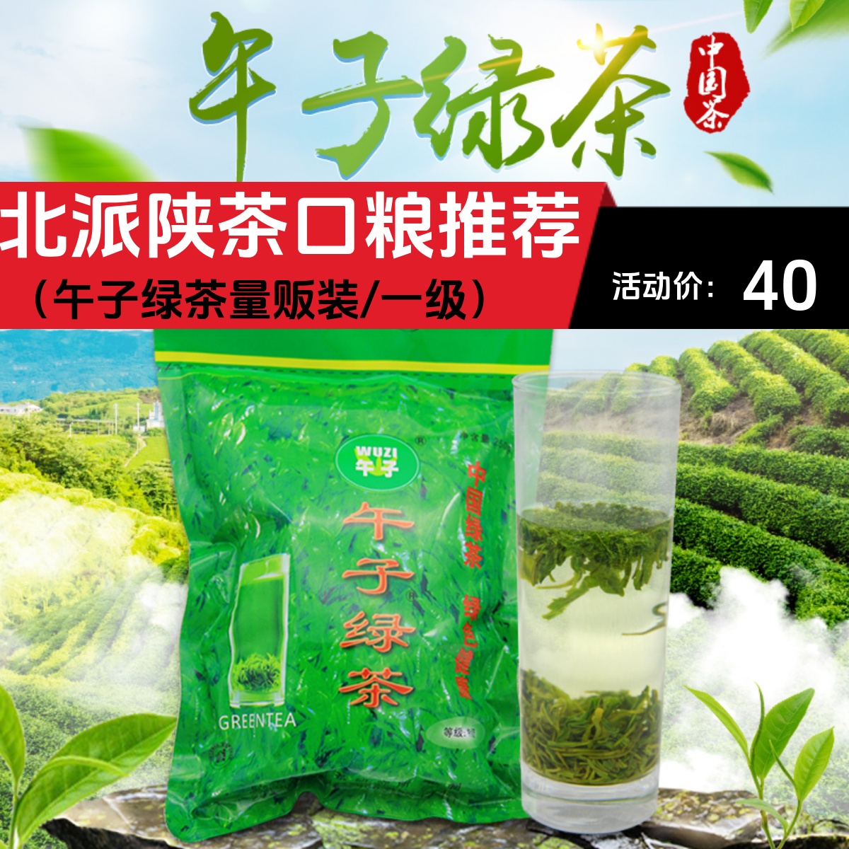 陕南汉中绿茶叶午子绿茶2024新茶西乡炒青散装高山云雾茶250g陕青