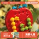SmartGames毛毛虫吃苹果5岁+益智玩具桌游六一儿童节礼物