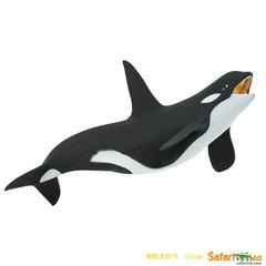 欧美正版 虎鲸 Safariltd海洋生物 静态模型玩偶 雌杀人鲸/逆戟鲸