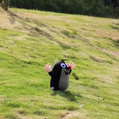 littlemole鼹鼠毛绒玩具玩偶 卡通动画小鼹鼠公仔 虎年礼物包邮