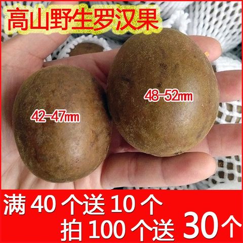 散装野生罗汉果干果广西桂林特产汗罗汊果茶润喉护嗓神器泡水泡茶