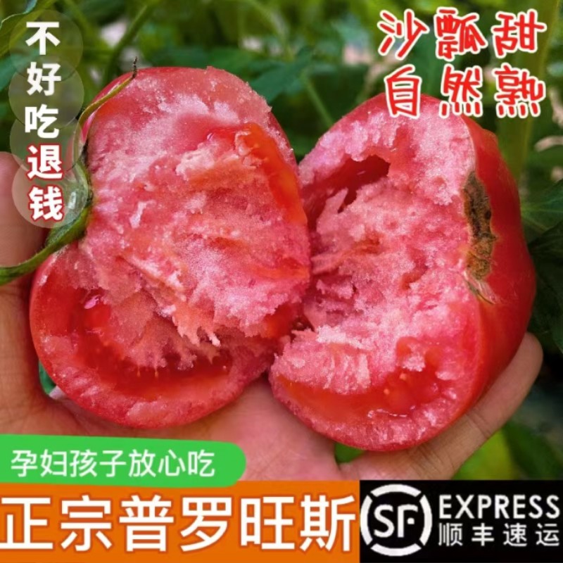 顺丰包邮陕西泾阳普罗旺斯水果西红柿5斤包邮沙瓤生吃新鲜番茄