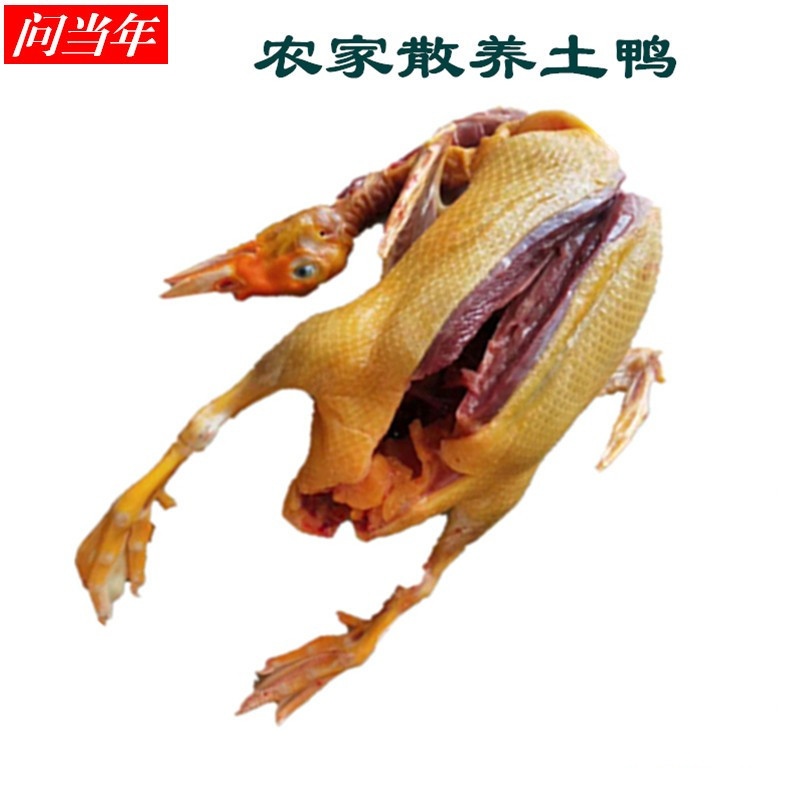 土鸭_农家散养新鲜现杀速冻番鸭肉豚子非洲雁新鲜土鸭正宗整鸭杀后5斤