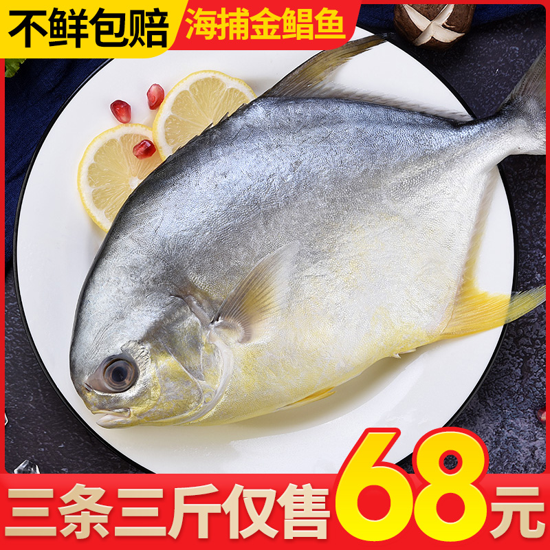 深海大金鲳鱼新鲜海鲜冷冻平鱼鲜活海捕海鱼小银鲳鱼金昌鱼整箱在类目 水产肉类/新鲜蔬果/熟食, 海鲜/水产品/制品, 海鲜鱼类, 鲳鱼中 - 来自Buy2taobao.com提供专业的淘宝代购服务