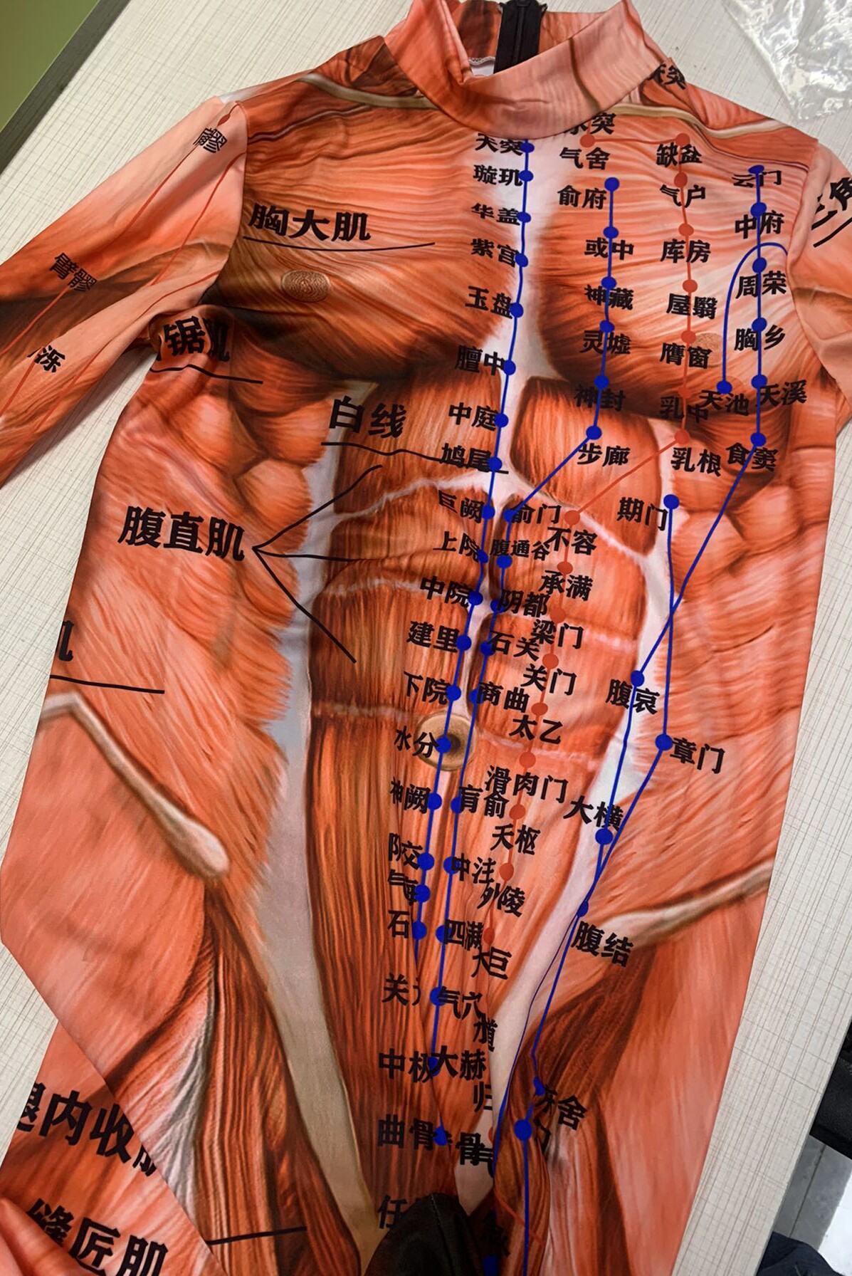 人体全身经络穴位连体衣骨骼泳衣肌内脏器官表演服装经脉连身衣