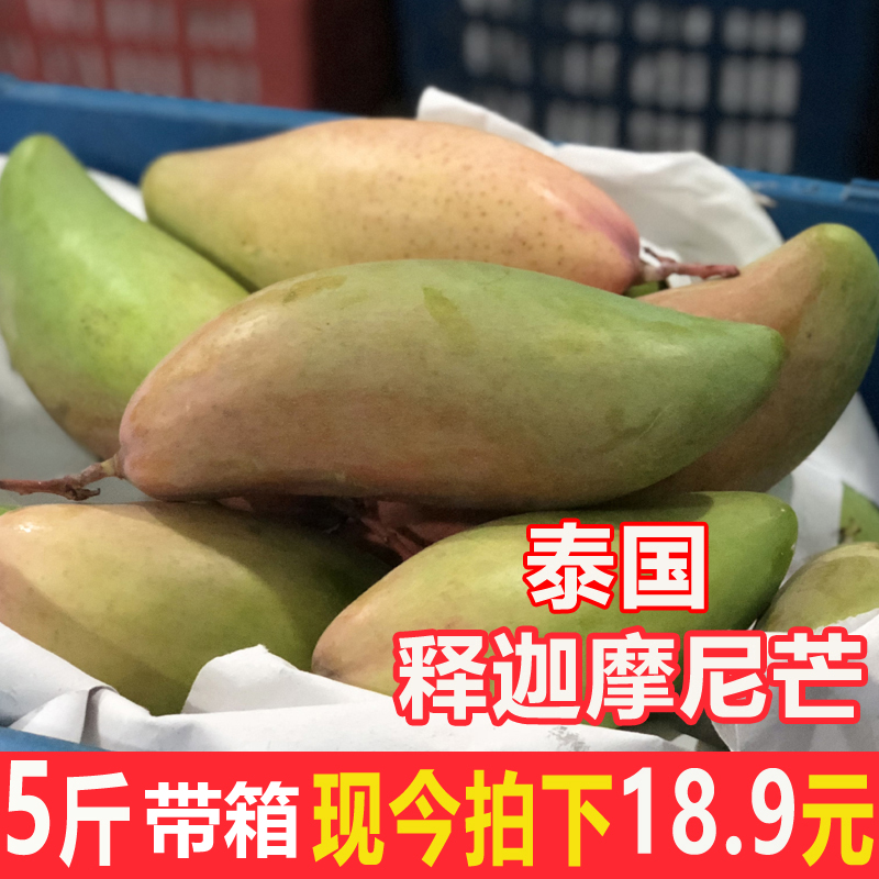泰国释迦摩尼芒果5斤装 新鲜水果包邮应季香甜大芒果拍两件10斤装在类目 水产肉类/新鲜蔬果/熟食, 新鲜水果, 芒果中 - 来自Buy2taobao.com提供专业的淘宝代购服务