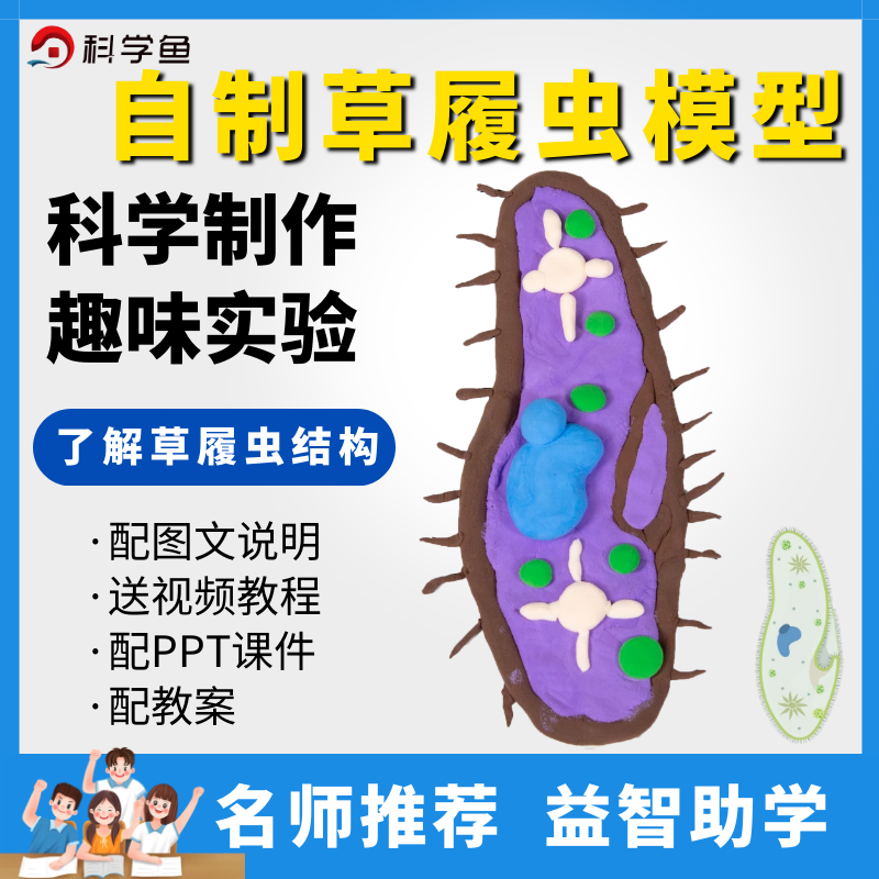 制作草履虫生物细胞模型手工动物植物材料包初高中细菌单细胞教具