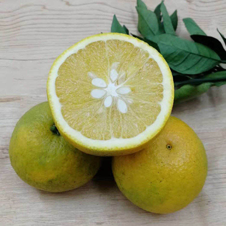 领域老释推荐桂林香妃橙纯甜不酸5斤装