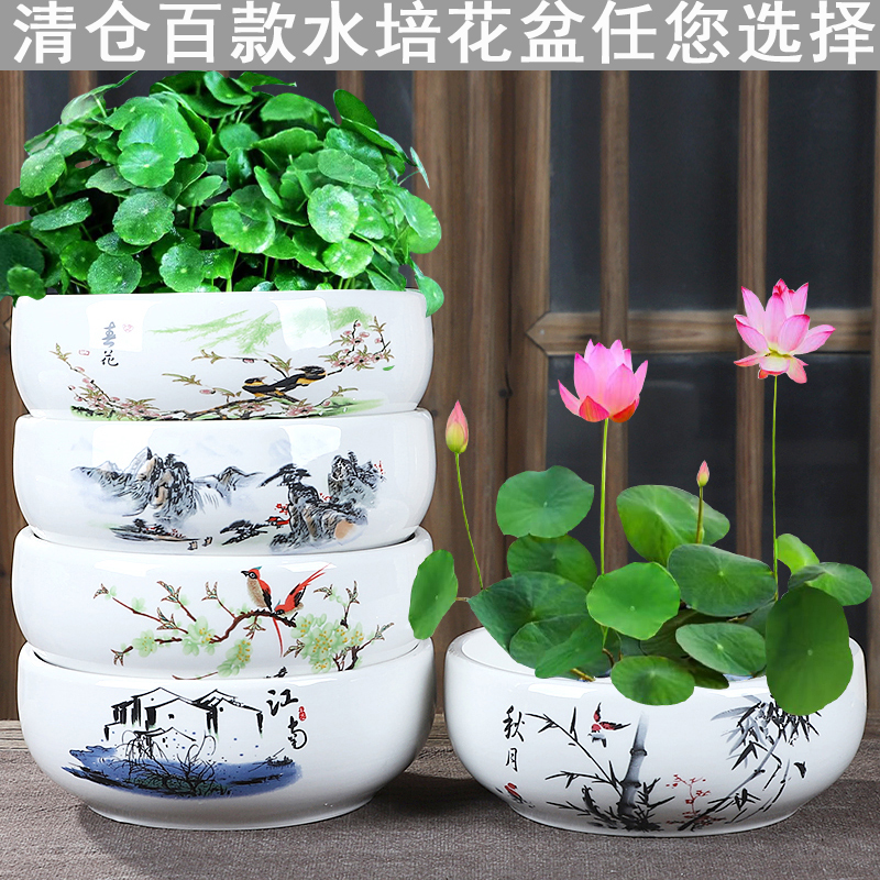 花盆陶瓷水仙花水养铜钱草睡莲碗莲金钱草无孔植物一叶莲大口径盆