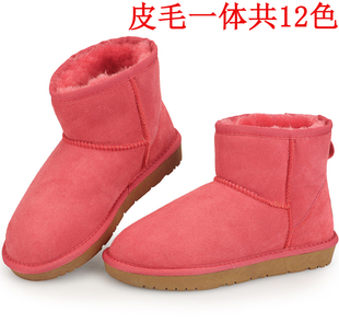香港和澳洲香奈兒便宜多少 清倉促銷正品澳洲羊皮毛一體短靴5854低筒雪地靴女靴 香港的lv便宜多少
