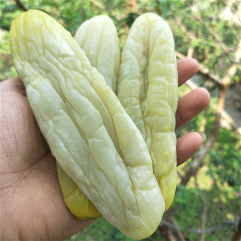 黄瓜皮农家自制广西博白瓜皮4斤包邮钦州灵山特产脆皮