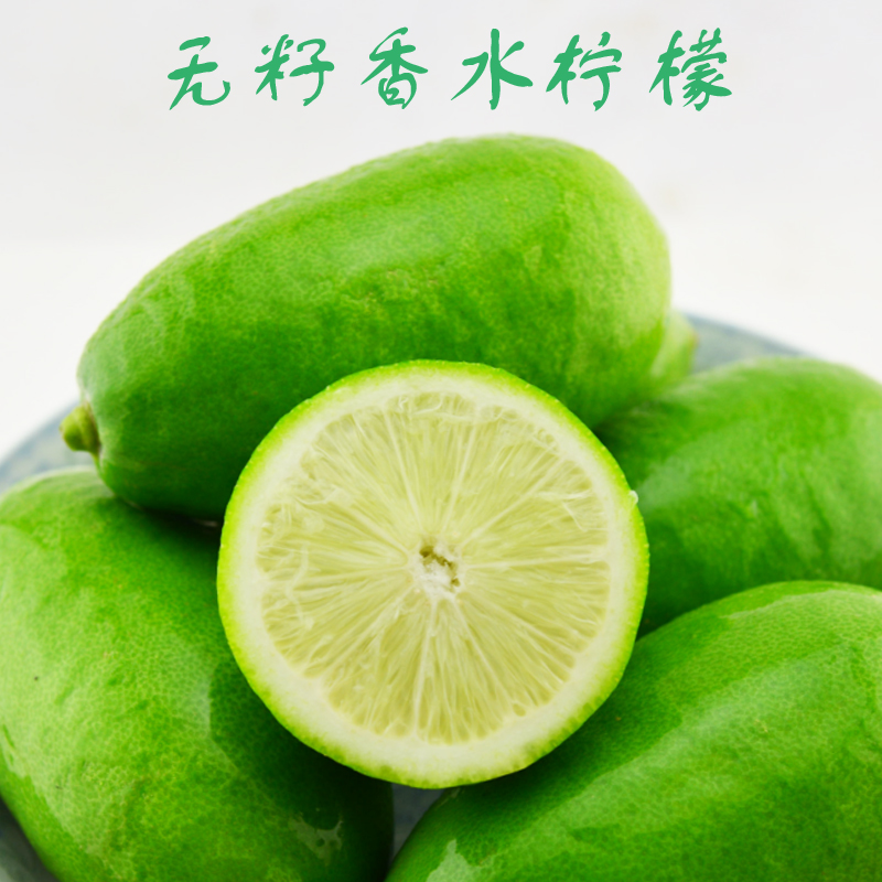 現摘香水檸檬9斤新鮮應當季水果青檸檬奶茶店專用批發廣東包郵10在類目 水產肉類/新鮮蔬果/熟食, 新鮮水果, 檸檬中 - 來自Buy2taobao.com提供專業的淘寶代購服務