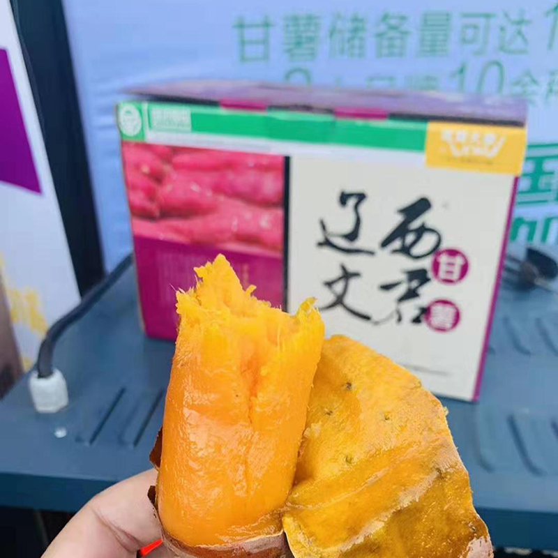 东北特产葫芦岛辽西文君地瓜甘薯沙地新鲜烟薯25黄心带箱适合烘烤在类目 水产肉类/新鲜蔬果/熟食, 新鲜蔬菜/蔬菜制品, 新鲜蔬菜, 番薯中 - 来自Buy2taobao.com提供专业的淘宝代购服务