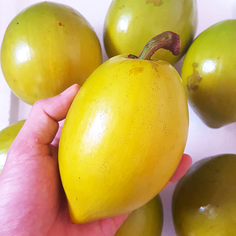 鸡蛋果蛋黄果优惠券-搜券网