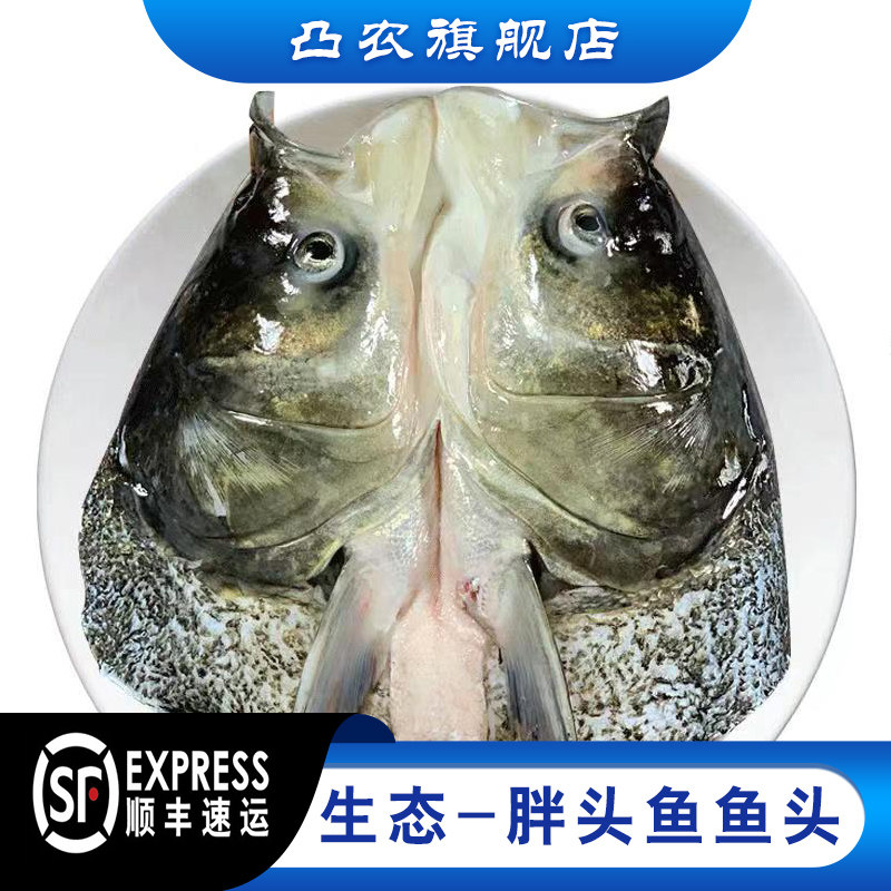 凸农大头鱼花鲢鱼头 熊鱼黑鲢大鱼胖头单品新鲜鲜活顺丰包邮500g