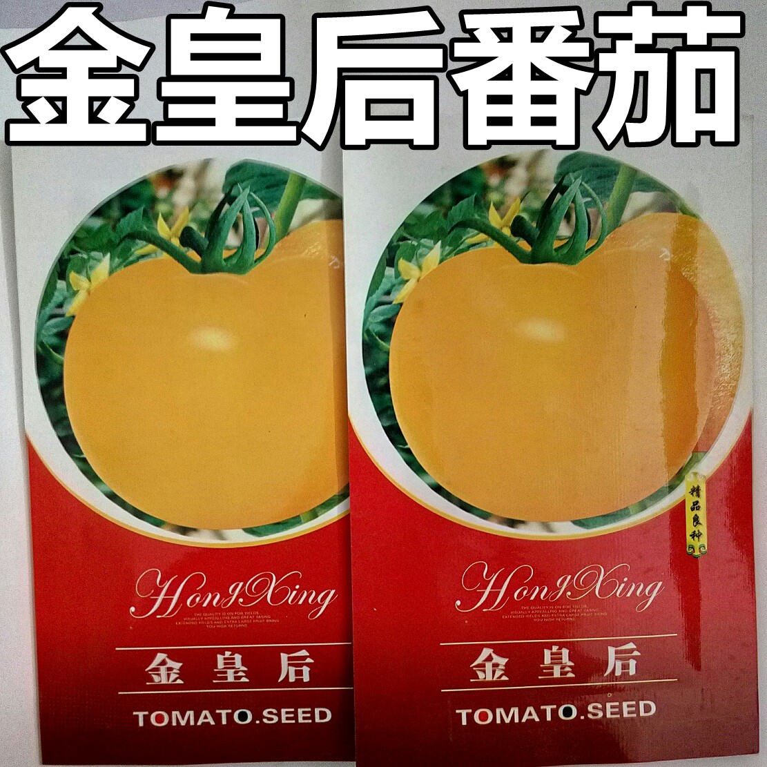 红星金皇后100天早熟番茄种子 东北圆形大黄柿子自封顶耐病西红柿