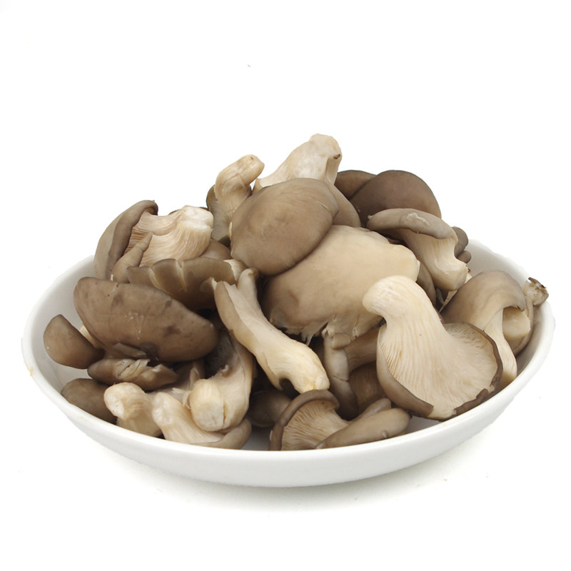 秀珍菇250g 新鲜蔬菜菌类 富含氨基酸 菜市场沃鲜汇生鲜超市